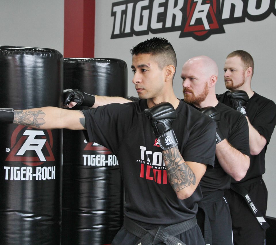 Martial Arts Academy, TaeKwonDo, Interval Fitness Training/Classes - Tiger  Rock Martial Arts International (TRMAI)